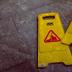 New Federal Employment Standards, What's in Force and What is Not?
