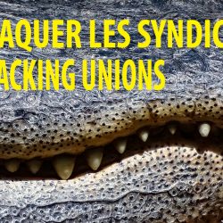 La stratégie conservatrice