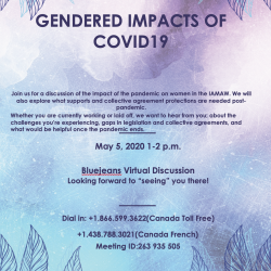 GENDERED IMPACTS OF COVID19 - Virtual Discussion