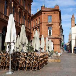 COVID-19: How social and economic sectors are responding