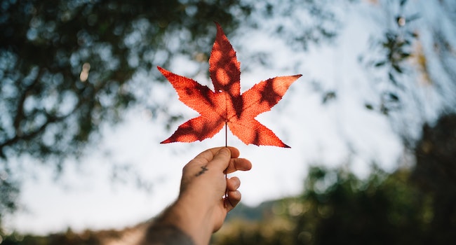 Message de Stan Pickthall à l’occasion de la fête du Canada