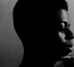 Mesures concrètes nécessaires pour lutter contre le racisme et la discrimination anti-Noirs (CTC)